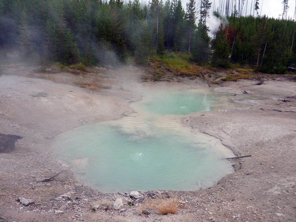 Yellowstone Norris Geyser (42).JPG